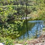 Der kleine See vor dem Haus
